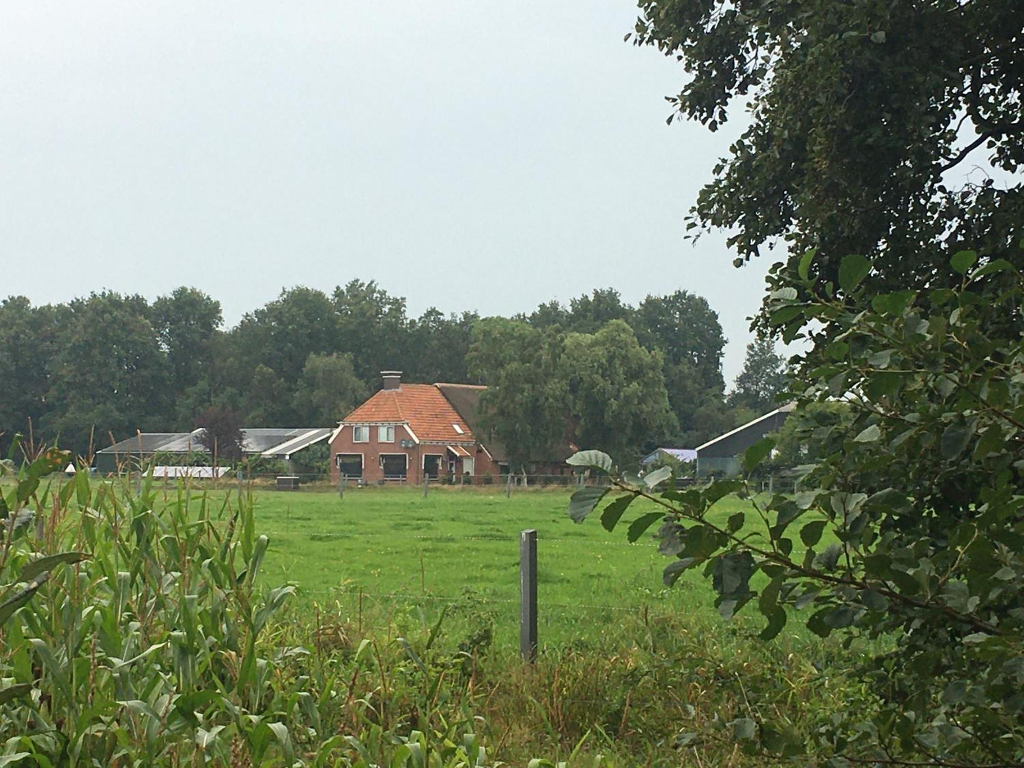 The Black Horse B&B & More Drachten Exteriér fotografie